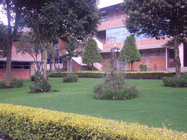 Another descritpion of the image